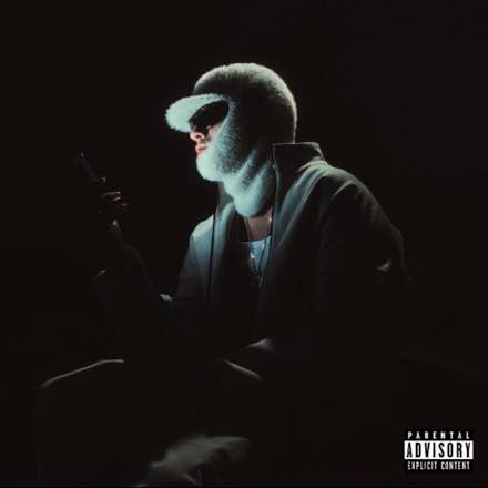 Icy Subzero — 1 Messaggio (Single)